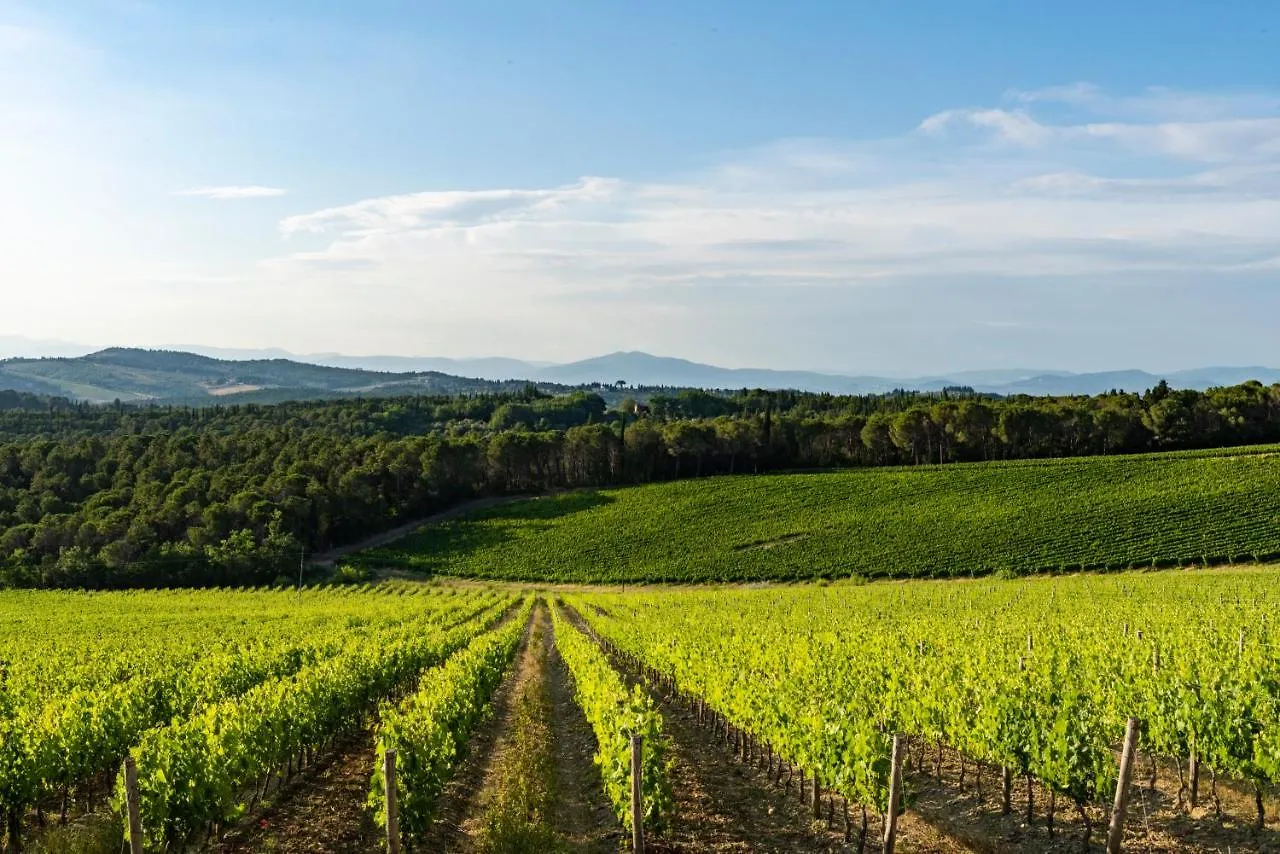 Tenuta Poggio Ai Mandorli Greve in Chianti